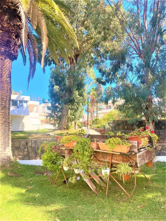 Marysol - Lovely Studio Tenerife Sur Arona  Exterior photo