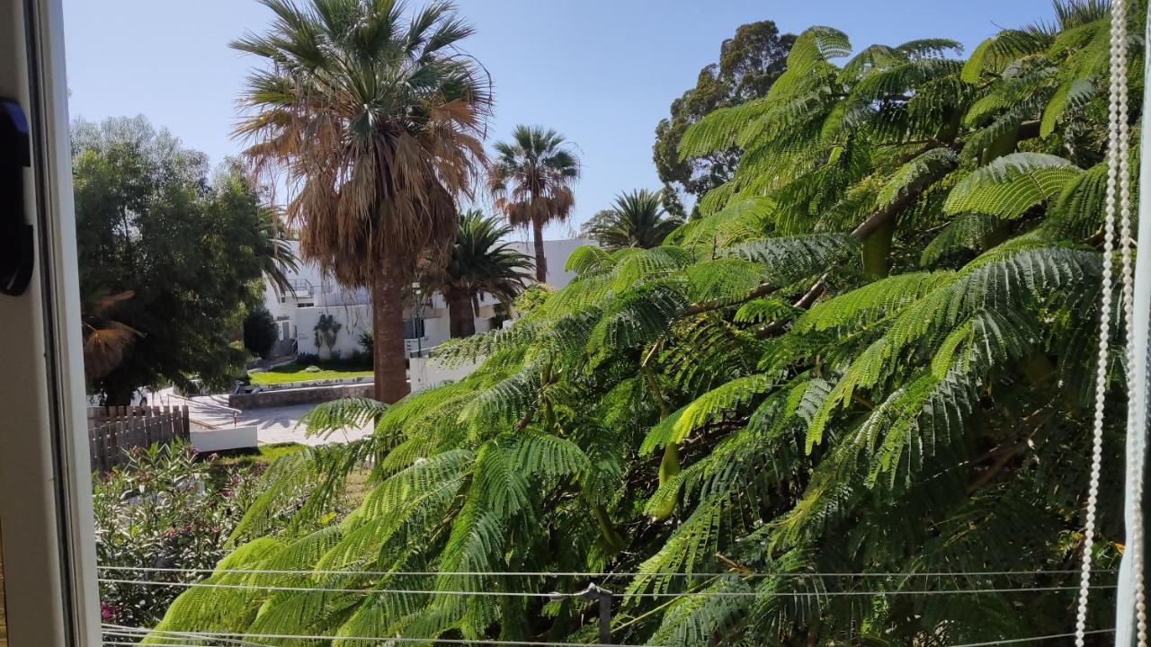Marysol - Lovely Studio Tenerife Sur Arona  Exterior photo