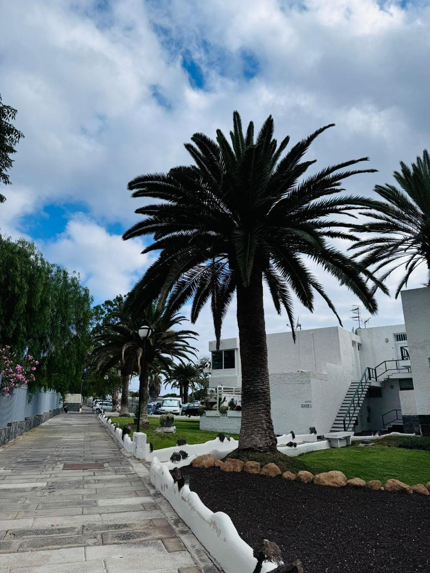 Marysol - Lovely Studio Tenerife Sur Arona  Exterior photo