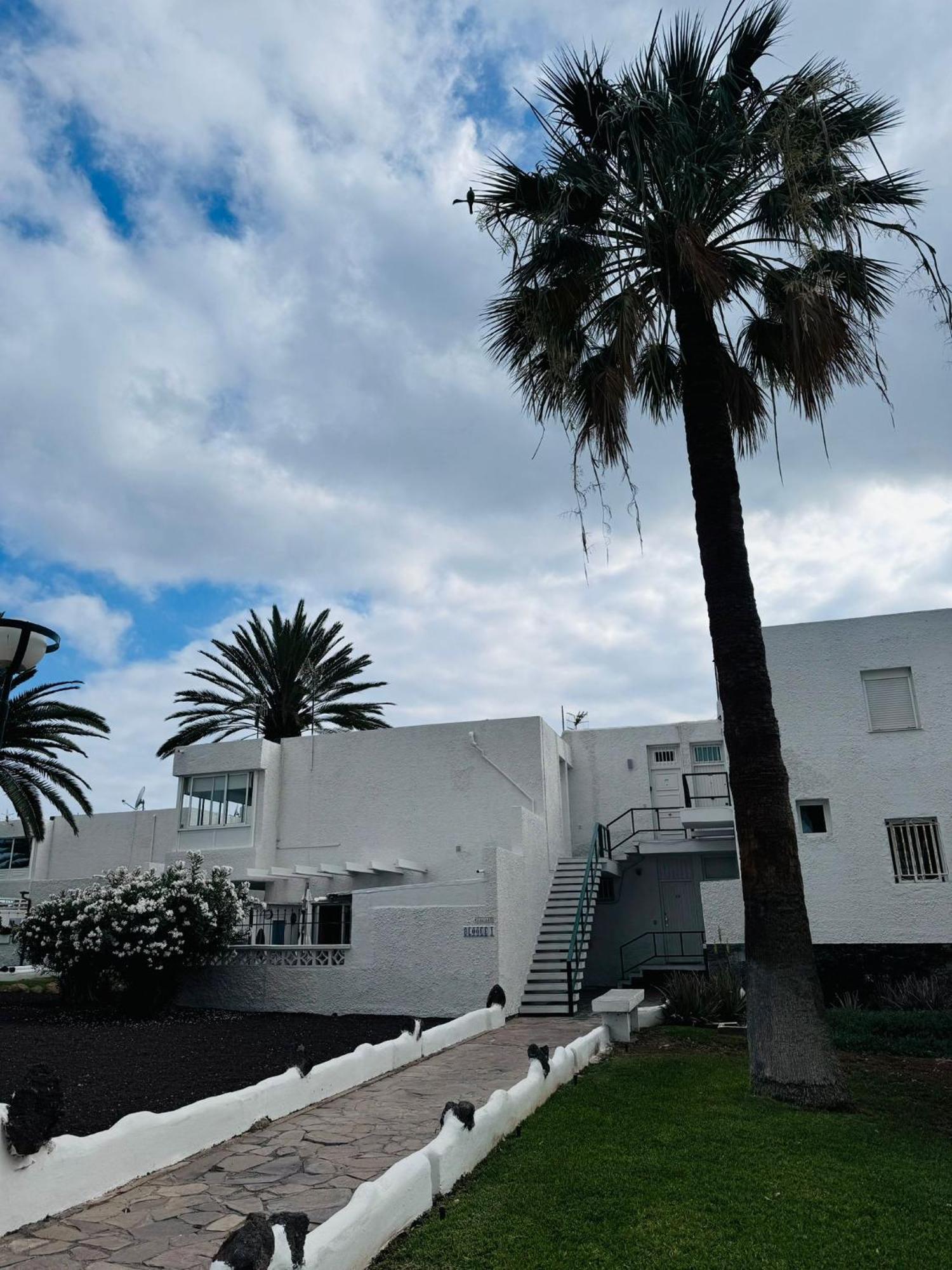 Marysol - Lovely Studio Tenerife Sur Arona  Exterior photo