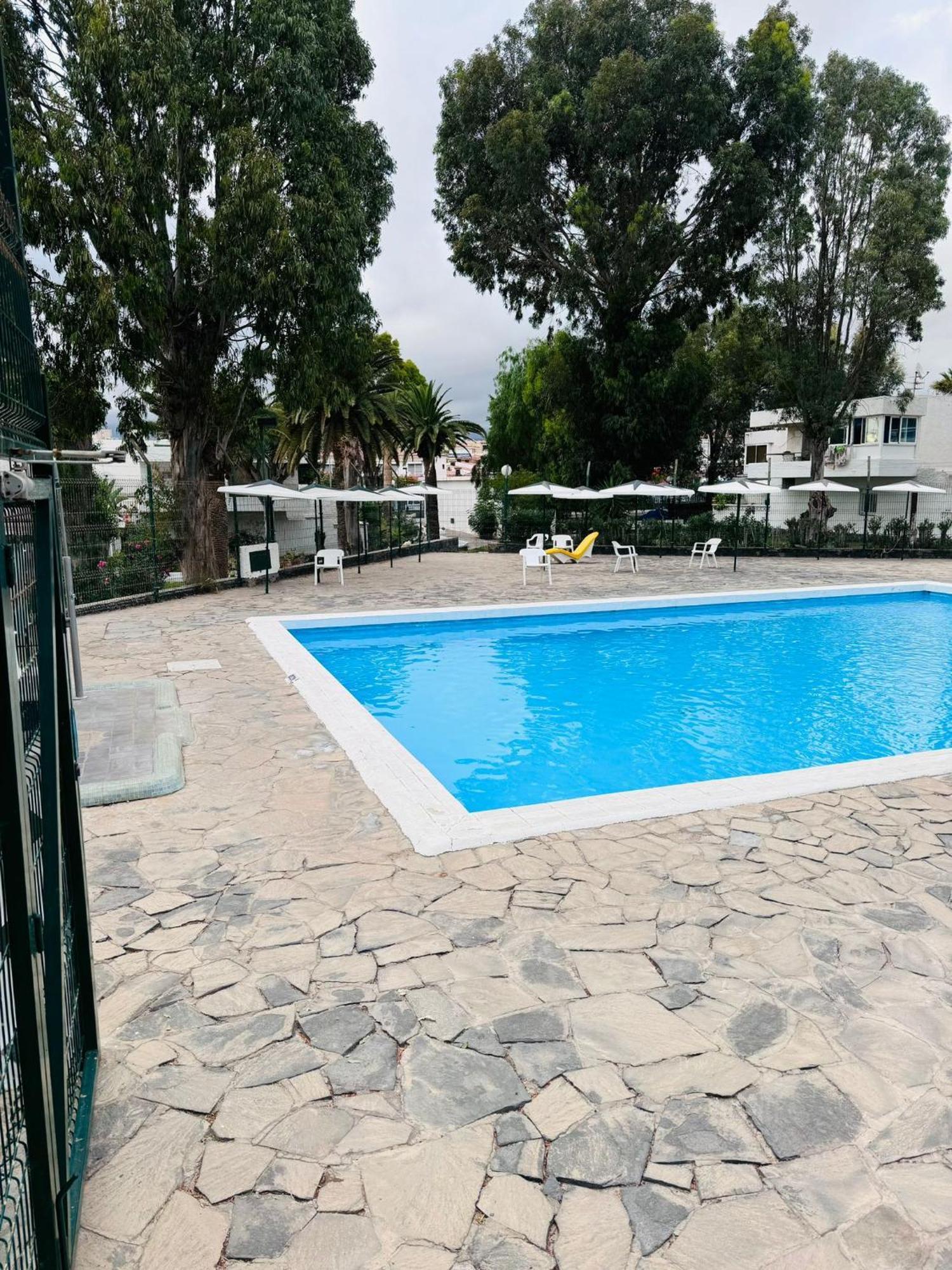 Marysol - Lovely Studio Tenerife Sur Arona  Exterior photo
