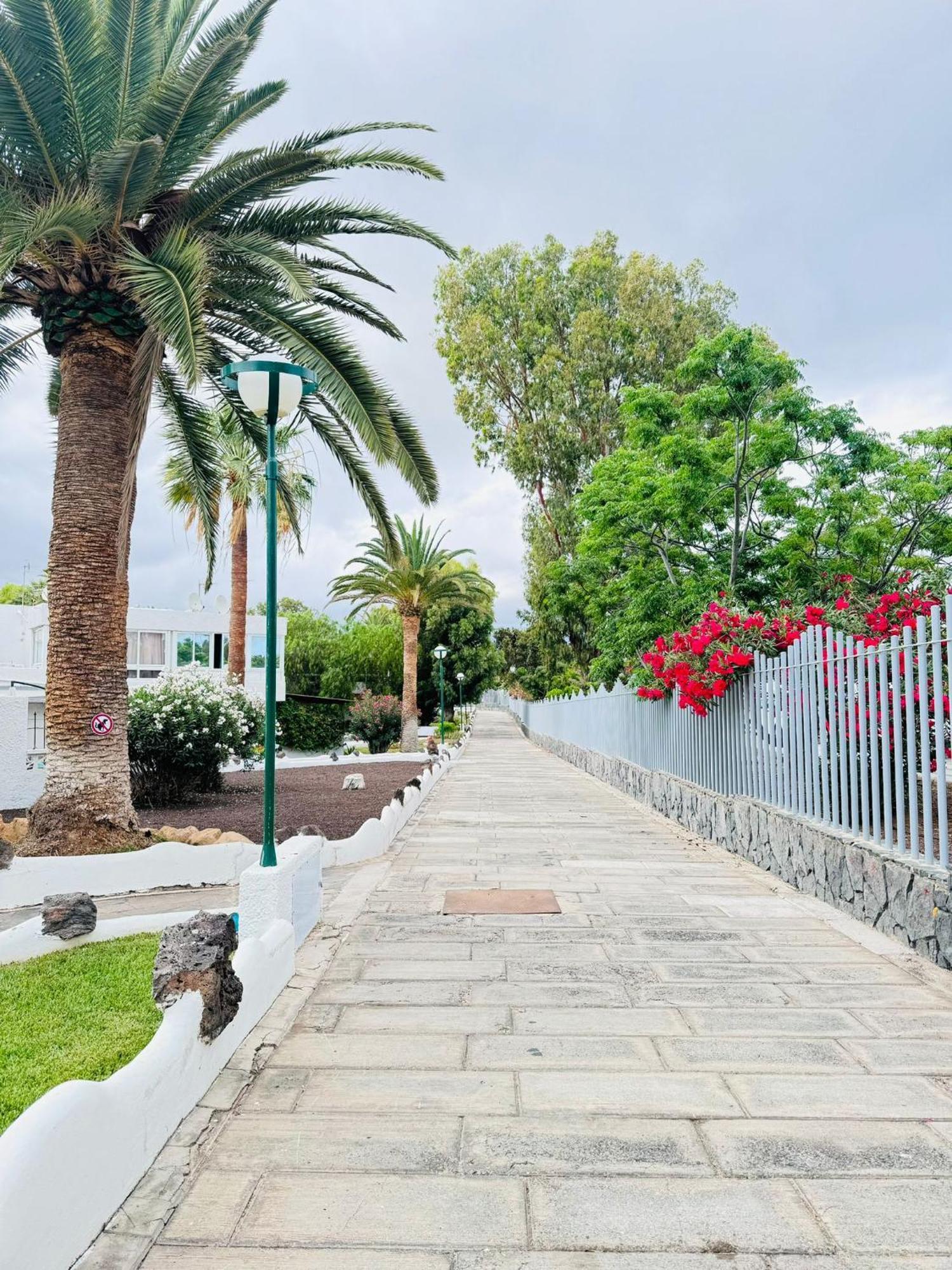Marysol - Lovely Studio Tenerife Sur Arona  Exterior photo